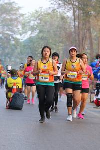BIB: 16115, 10077, 17241
                            <button type="button" onclick="openModal(10414396)" class="btn btn-primary btn-sm float-right btn-popup" data-toggle="modal" data-target=".modal-high-quality">
                        <i class="fas fa-shopping-cart"></i> Add to Cart
                    </button>
                                            <button type="button" onclick="isThisMe(10414396, true)" class="btn btn-success btn-sm float-right btn-popup btn-isme hidden" data-toggle="tooltip" data-placement="bottom" title="นี่คือรูปของคุณใช่ไหม คลิกที่นี่เพื่อเอาเข้าอัลบั้ม">
                        <i class="fas fa-plus"></i> Add to album
                    </button>
                    <button type="button" onclick="isThisMe(10414396, false)" class="btn btn-warning btn-sm float-right btn-popup btn-isnotme hidden">
                        <i class="fas fa-ban"></i> Remove from album
                    </button>